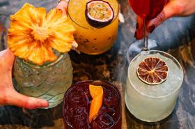 Pullman Lyon - photo 25