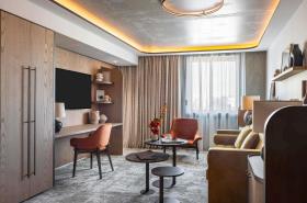 Pullman Lyon - photo 19