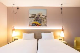 ibis Styles Lyon Centre Confluence - photo 93