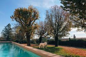 Fourvière Hôtel - photo 4