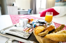Hôtel Saphir Lyon - photo 18