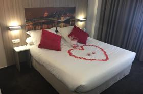 Hôtel Saphir Lyon - photo 14