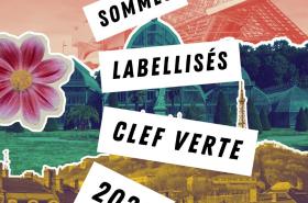 Hôtel des Savoies - photo 26