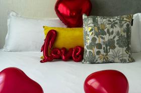 Hôtel Villa Berlioz - photo 27