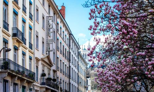 Hôtel des Artistes - photo 1