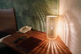 Hôtel du Dauphin - photo 16