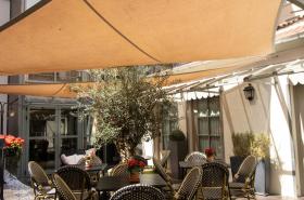 Hôtel Alexandra - photo 14