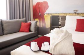 Novotel Lyon Gerland Musée des Confluences - photo 24