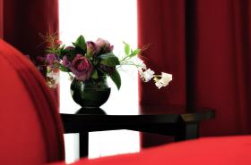 Hôtel Carlton - photo 13