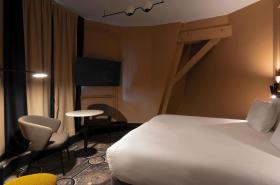 Grand Hotel des Brotteaux Lyon - photo 13