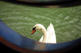Péniche Barnum - photo 8