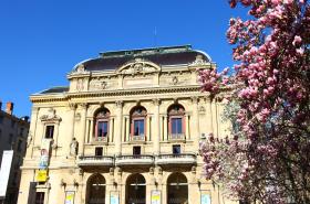 Hôtel des Célestins - photo 9