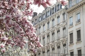 Hôtel des Célestins - photo 11