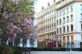 Hôtel des Célestins - photo 4
