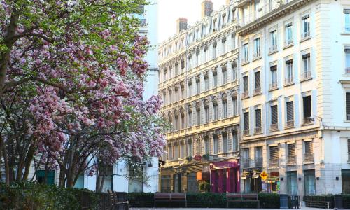 Hôtel des Célestins - photo 1